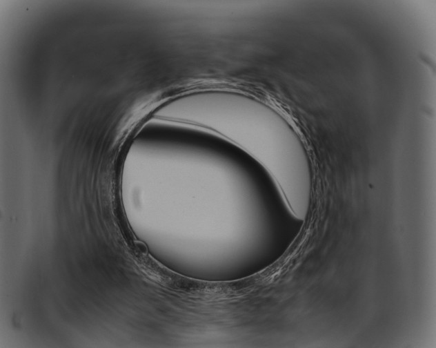 X0000094950103200711291114