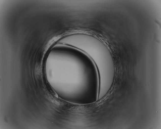 X0000094950104200711291114