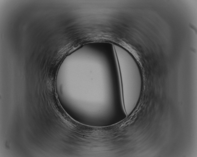 X0000094950105200711291114