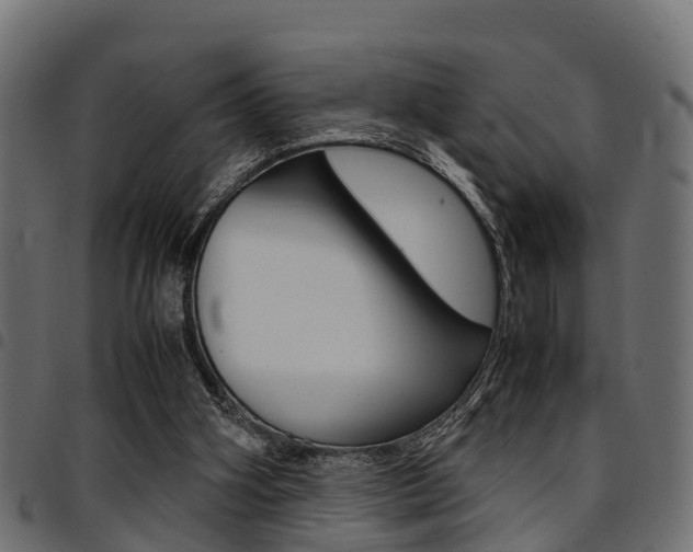 X0000094950106200711291114
