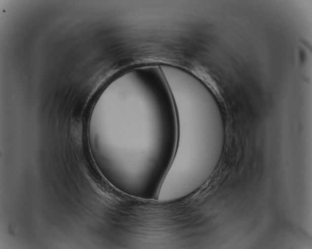 X0000094950108200711291114