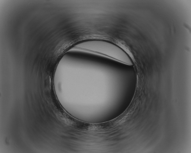 X0000094950109200711291114