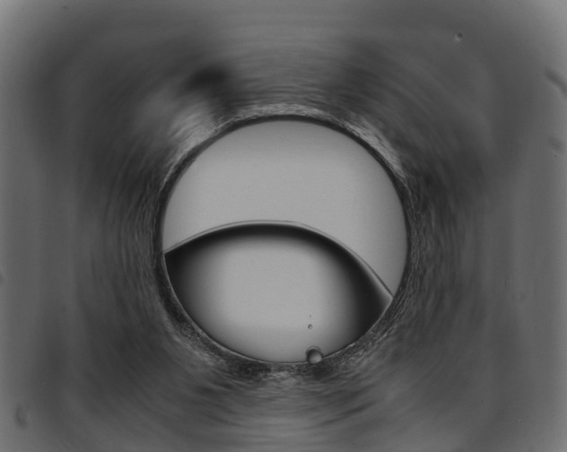 X0000094950111200711291114