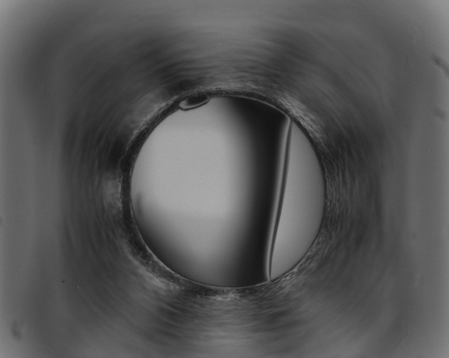 X0000094950112200711291114