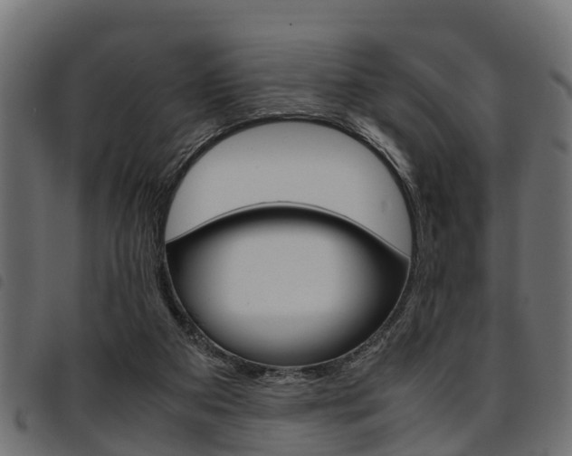X0000094950113200711291114