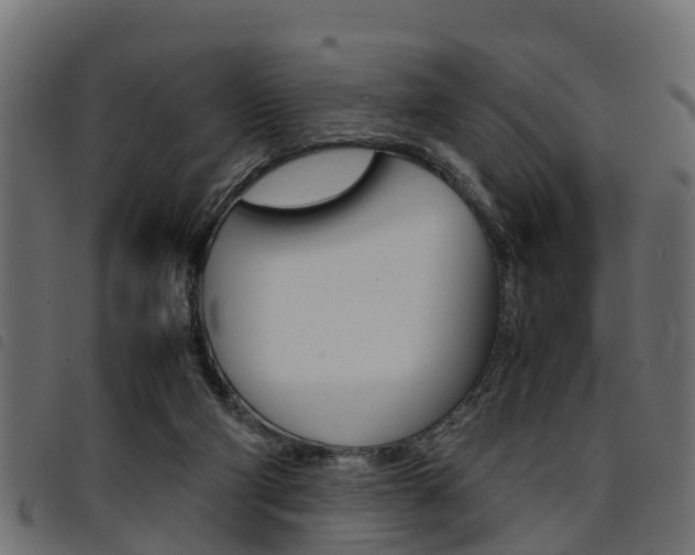 X0000094950114200711291114