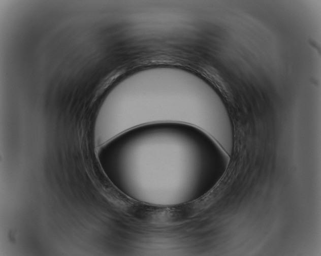 X0000094950116200711291114