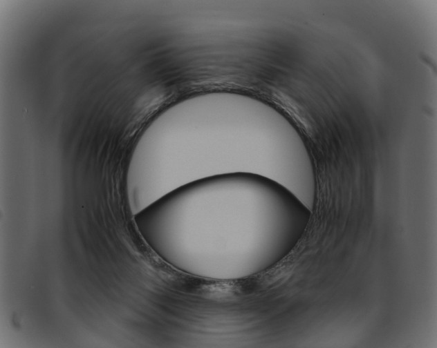 X0000094950118200711291114
