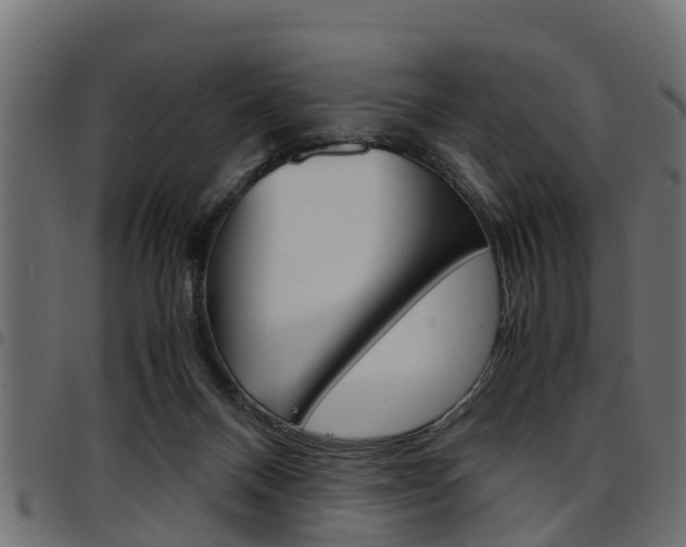 X0000094950120200711291114