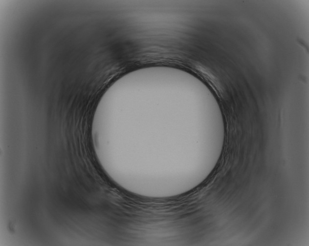 X0000094950121200711291114
