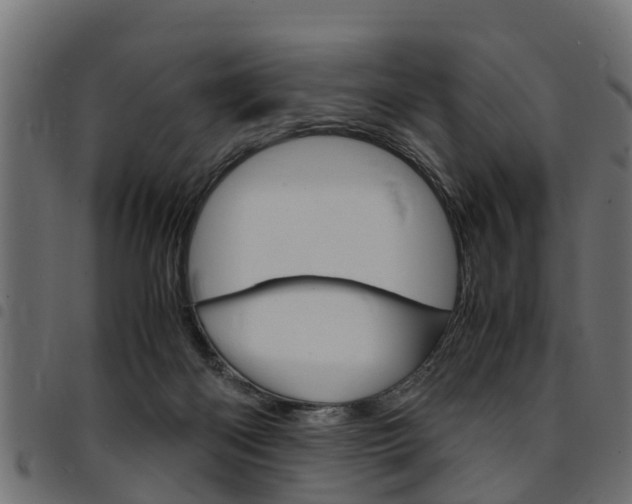 X0000094950122200711291114