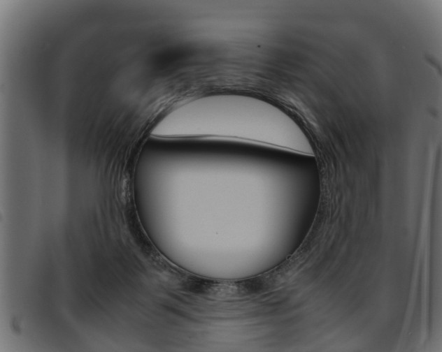 X0000094950123200711291114