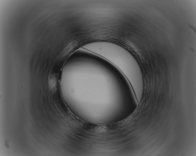 X0000094950124200711291114