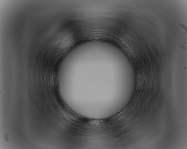 X0000094950126200711291114