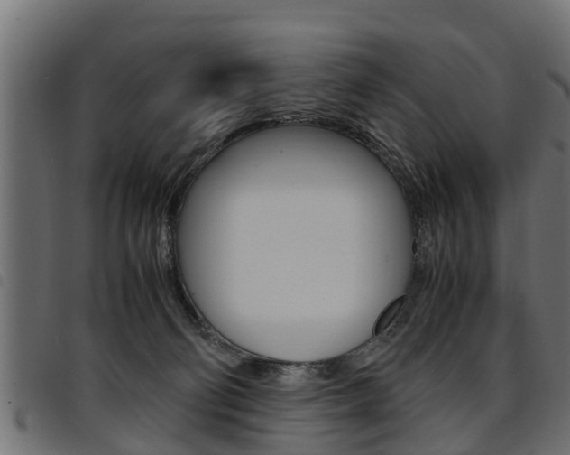 X0000094950130200711291114