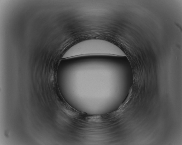 X0000094950132200711291114