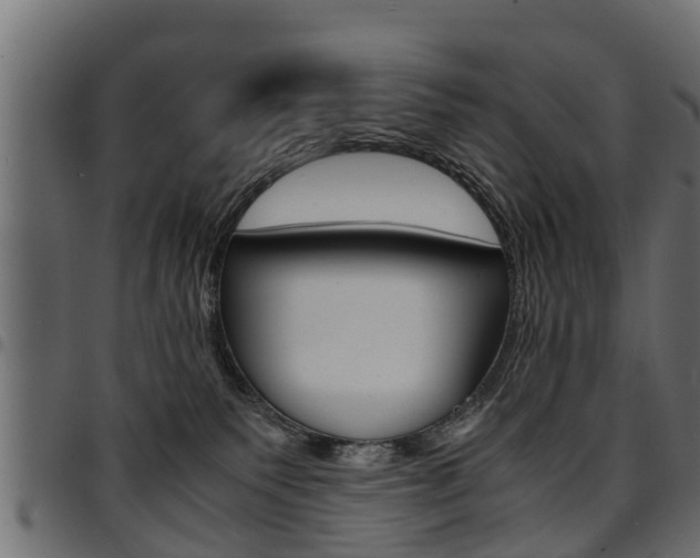 X0000094950135200711291114