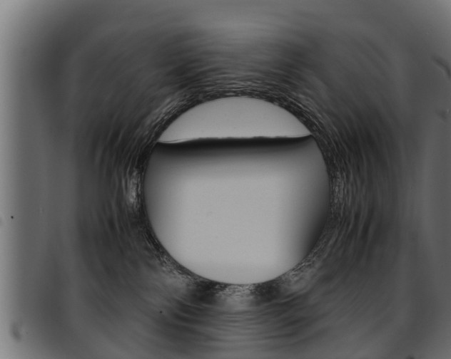 X0000094950138200711291114