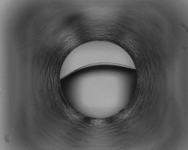 X0000094950139200711291114