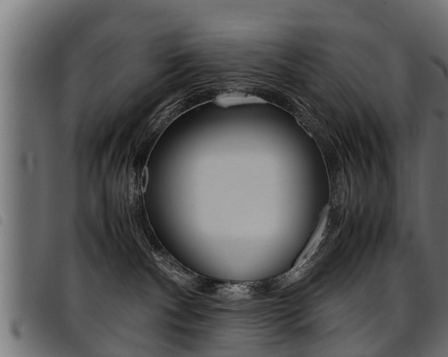 X0000094950140200711291114