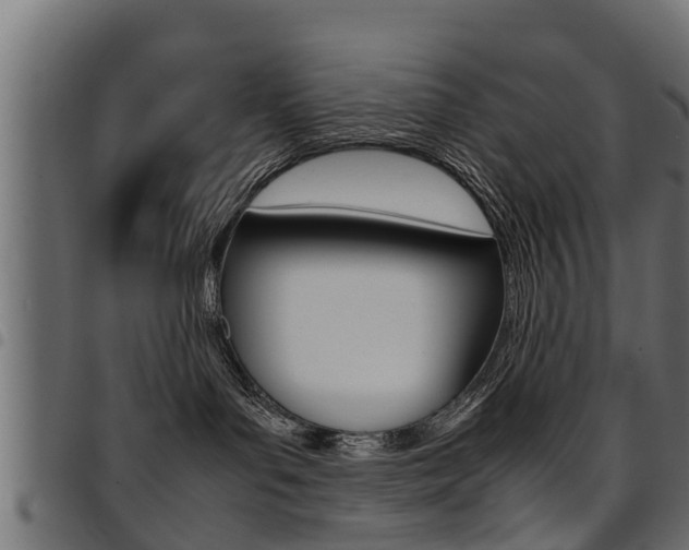 X0000094950143200711291114