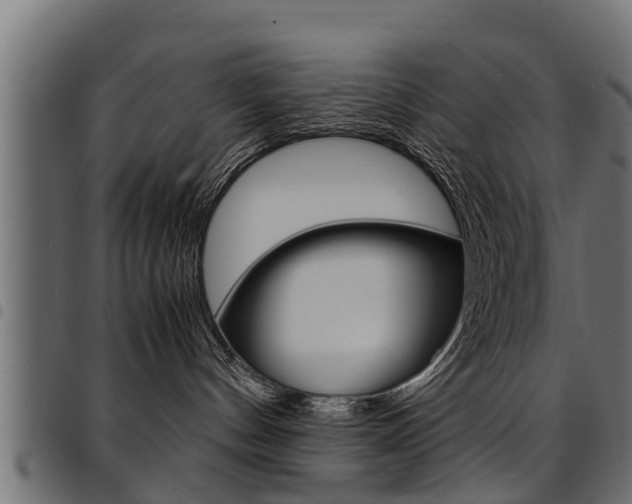 X0000094950144200711291114