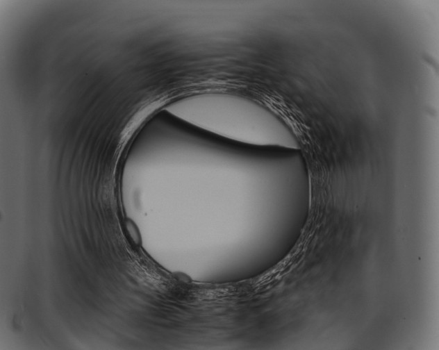 X0000094950147200711291113