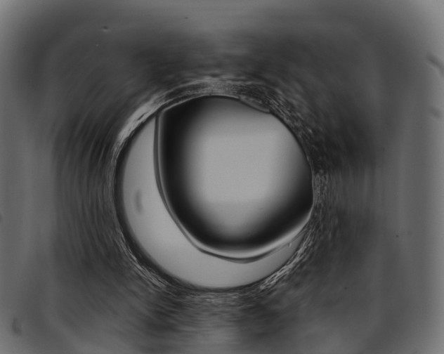 X0000094950150200711291113
