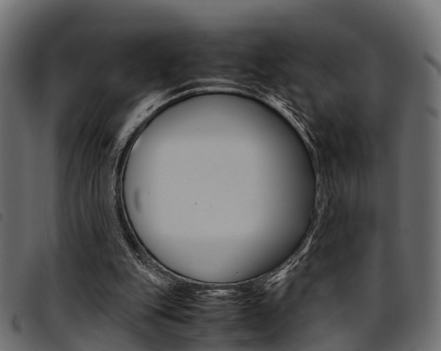 X0000094950151200711291113