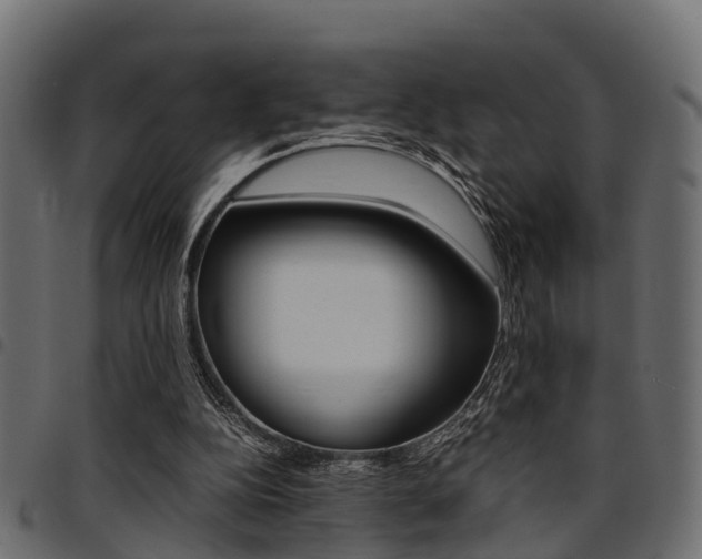 X0000094950152200711291113