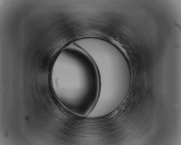 X0000094950154200711291113