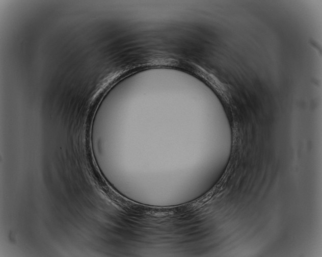 X0000094950155200711291113