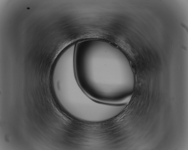 X0000094950156200711291113