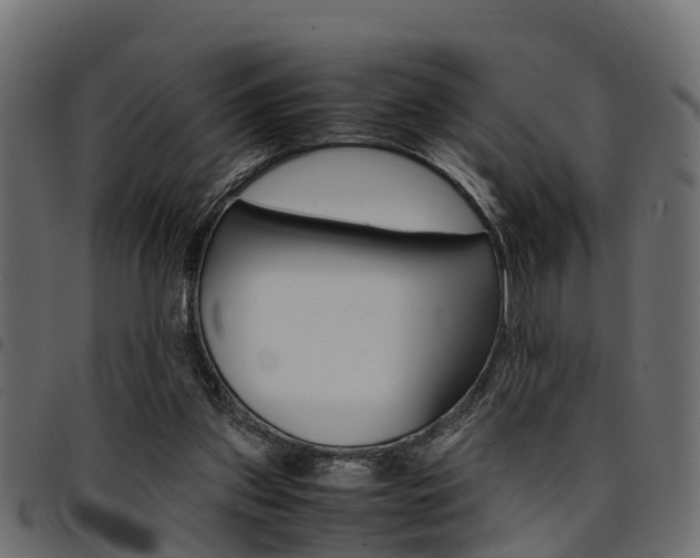 X0000094950157200711291113