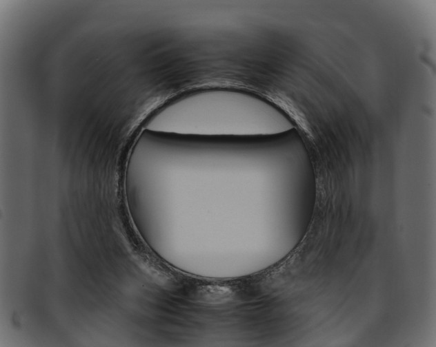 X0000094950159200711291113