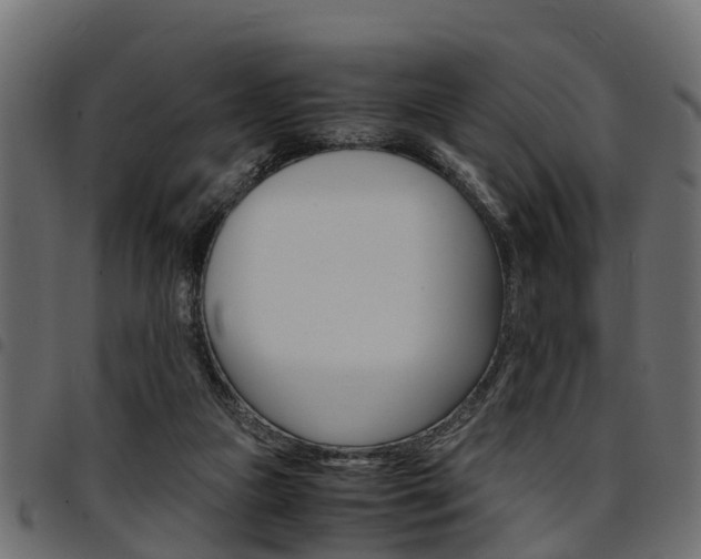 X0000094950161200711291113