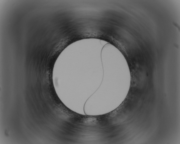 X0000094950162200711291113