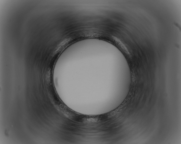 X0000094950163200711291113