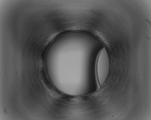 X0000094950164200711291113