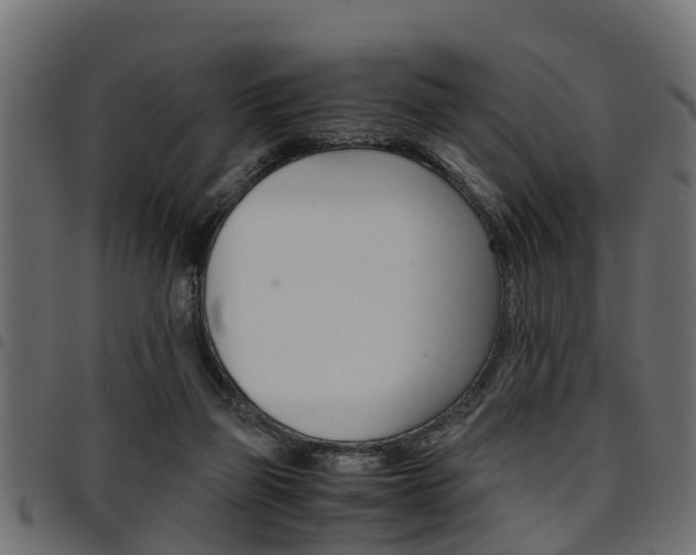 X0000094950165200711291113