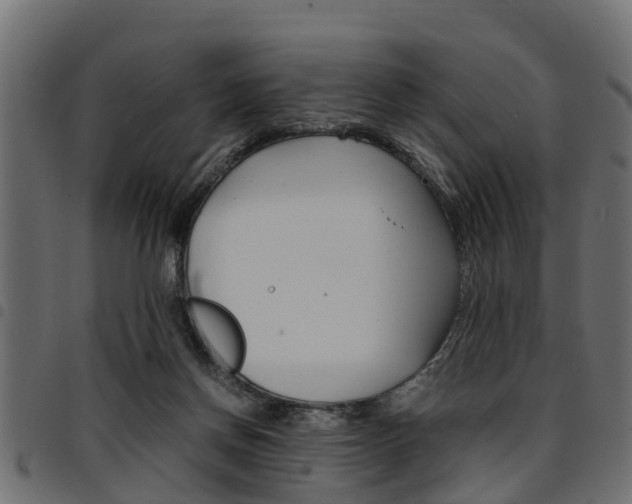 X0000094950166200711291113