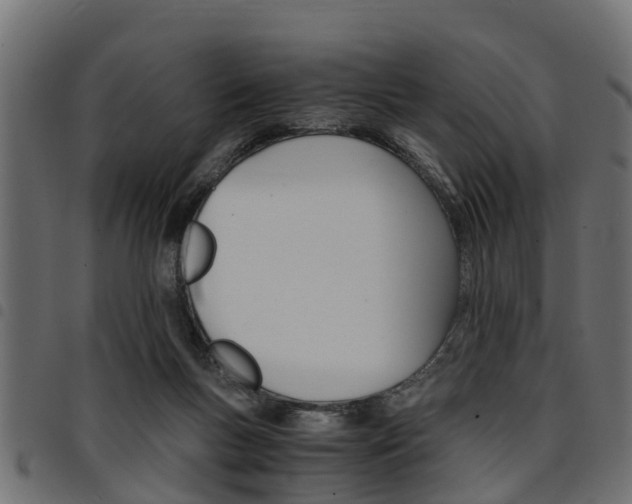 X0000094950167200711291113