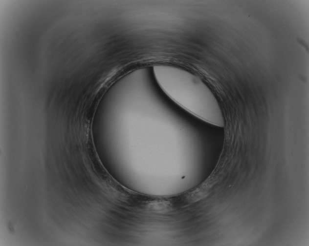 X0000094950168200711291113