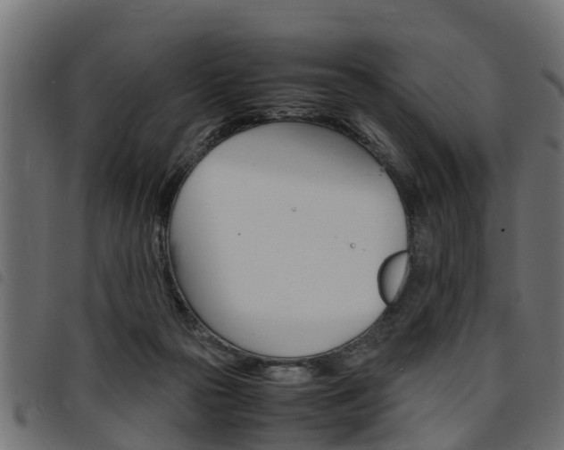 X0000094950169200711291113