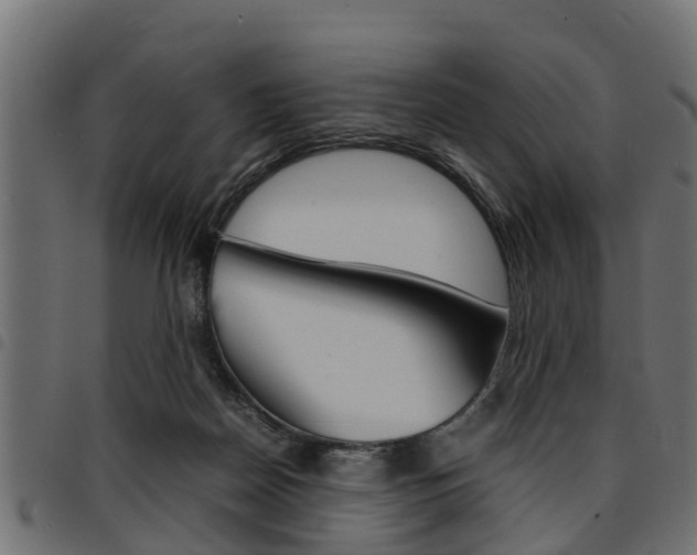 X0000094950170200711291113