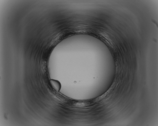 X0000094950171200711291113