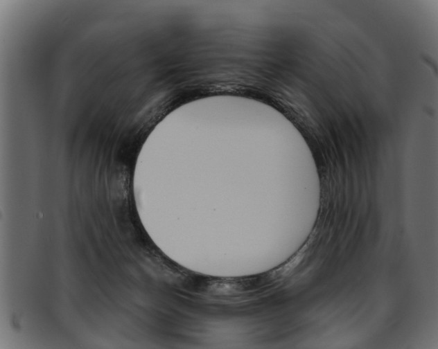 X0000094950174200711291113