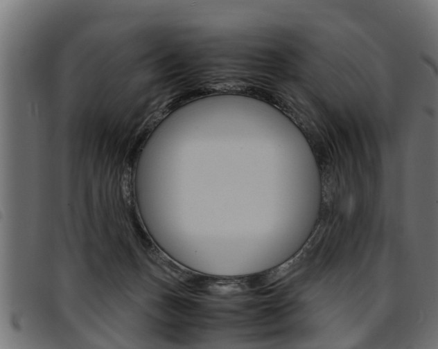 X0000094950175200711291113