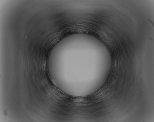 X0000094950177200711291113