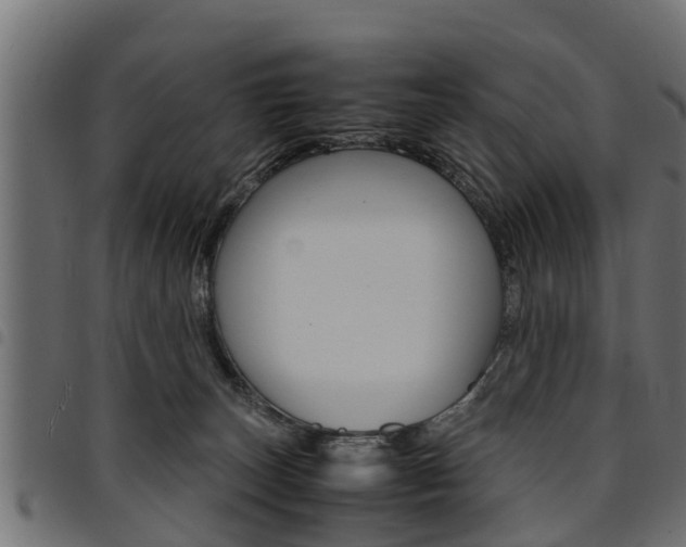 X0000094950179200711291113